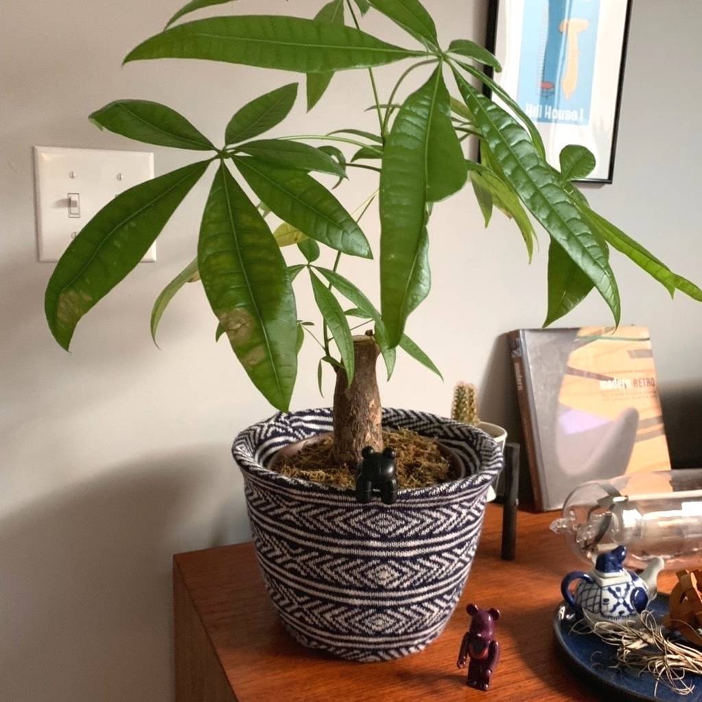 f:id:mashley_slt:20181219001435j:plain