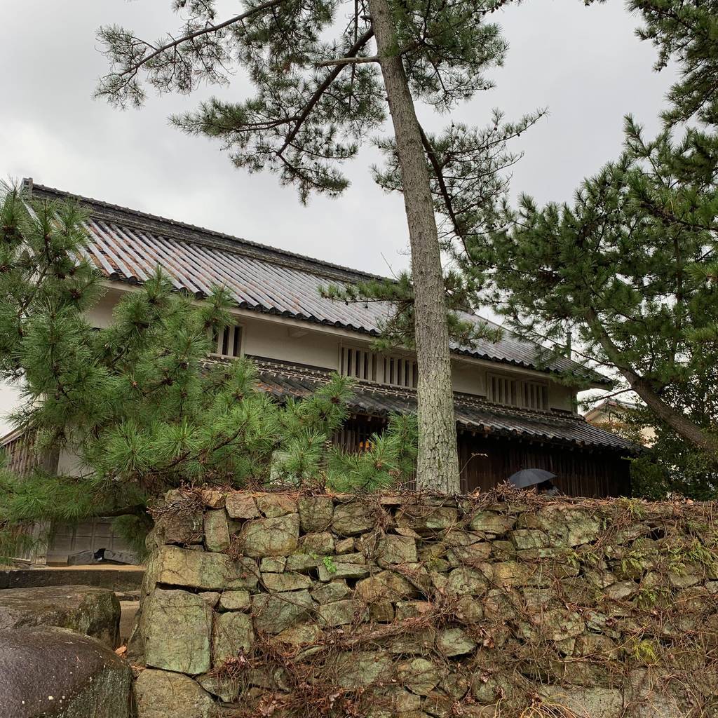 f:id:mashley_slt:20181222205114j:plain