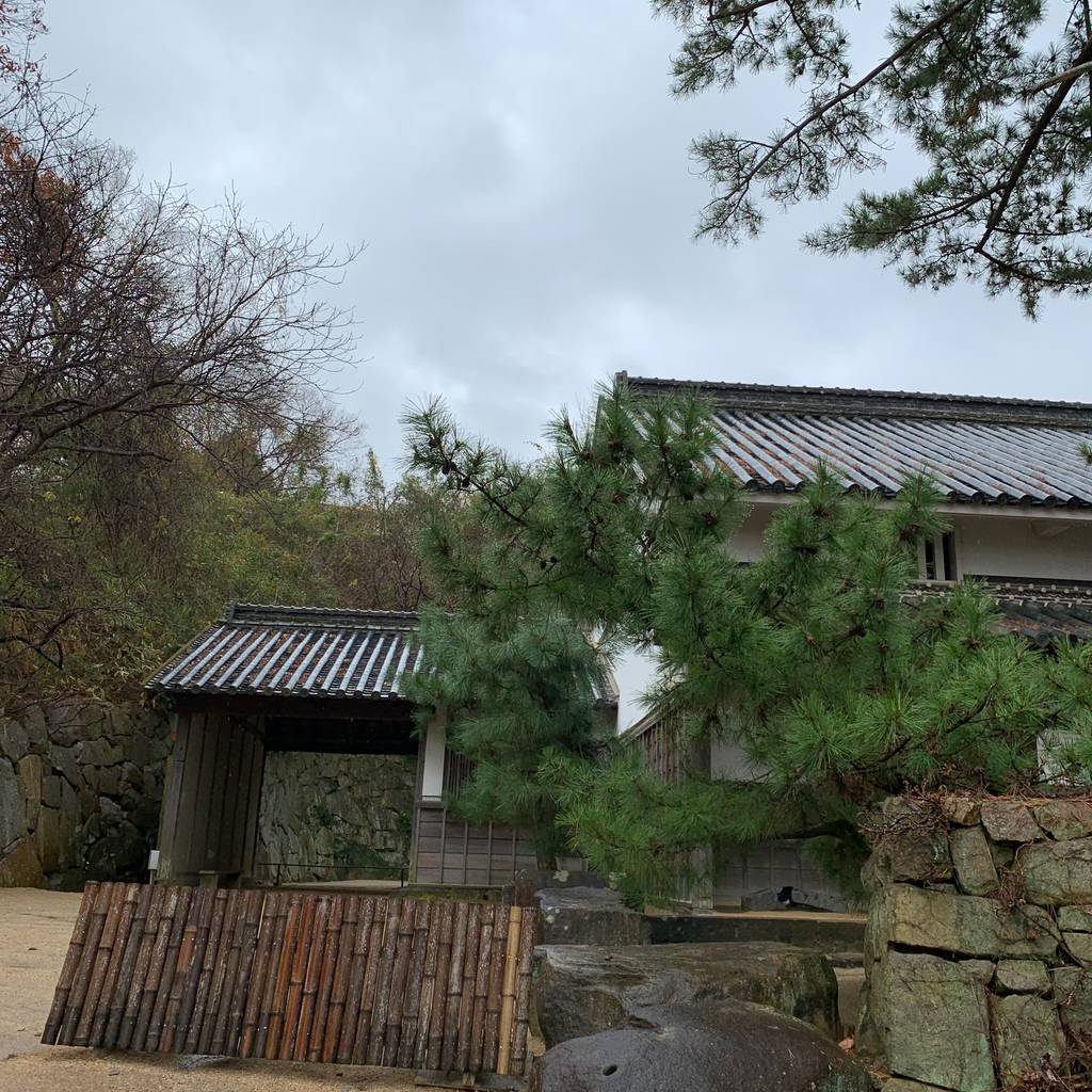 f:id:mashley_slt:20181222213445j:plain