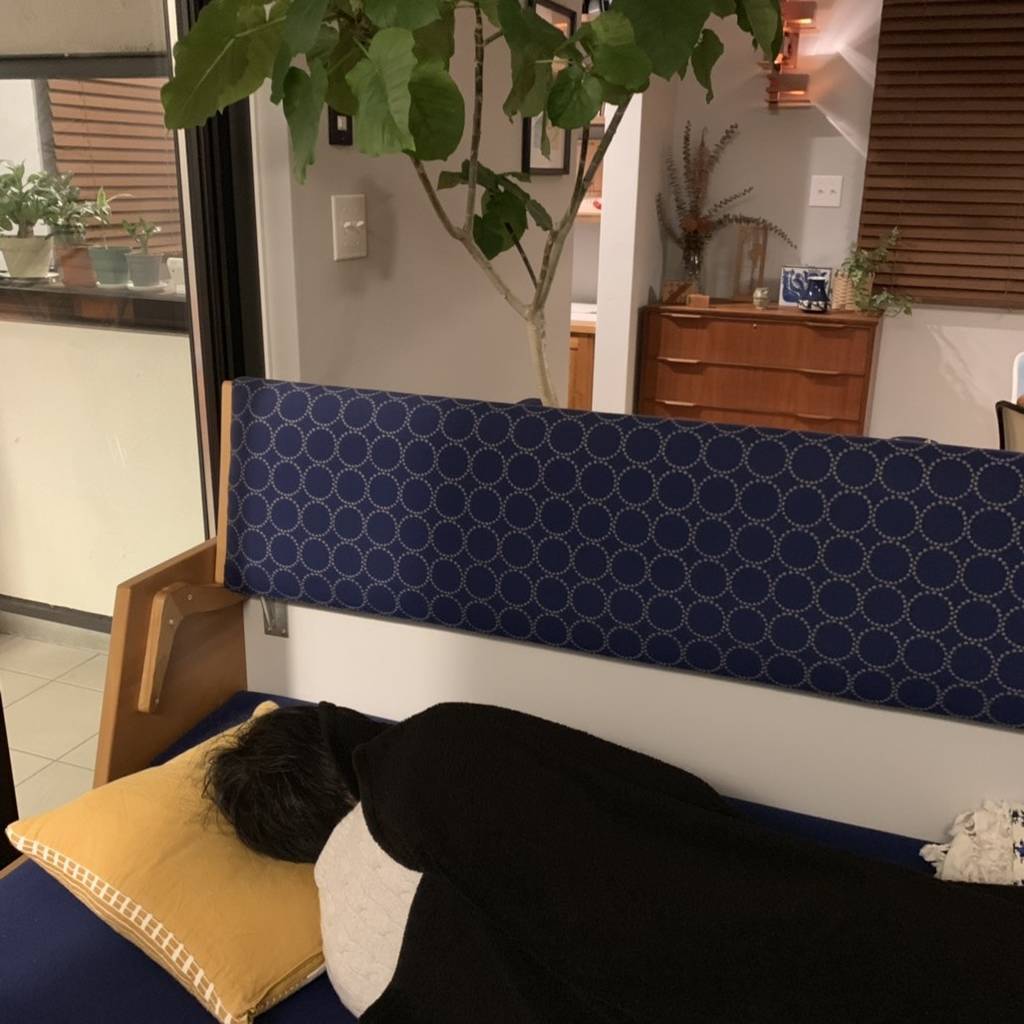 f:id:mashley_slt:20181224215506j:plain