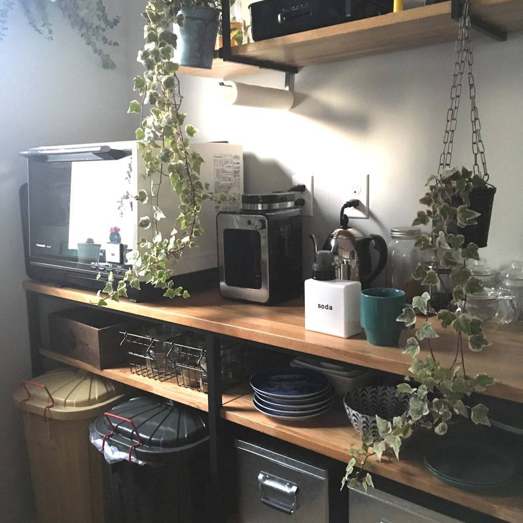 f:id:mashley_slt:20181225181311j:plain