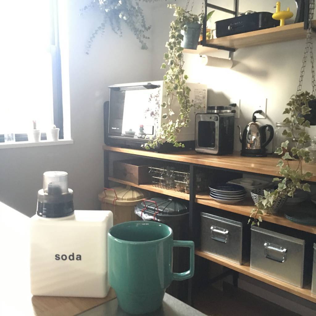 f:id:mashley_slt:20181225184249j:plain