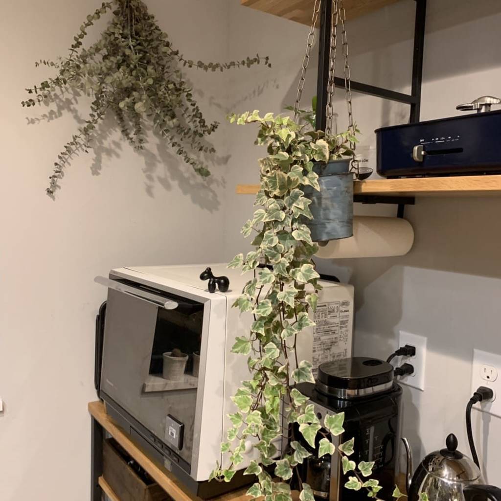 f:id:mashley_slt:20181225185741j:plain