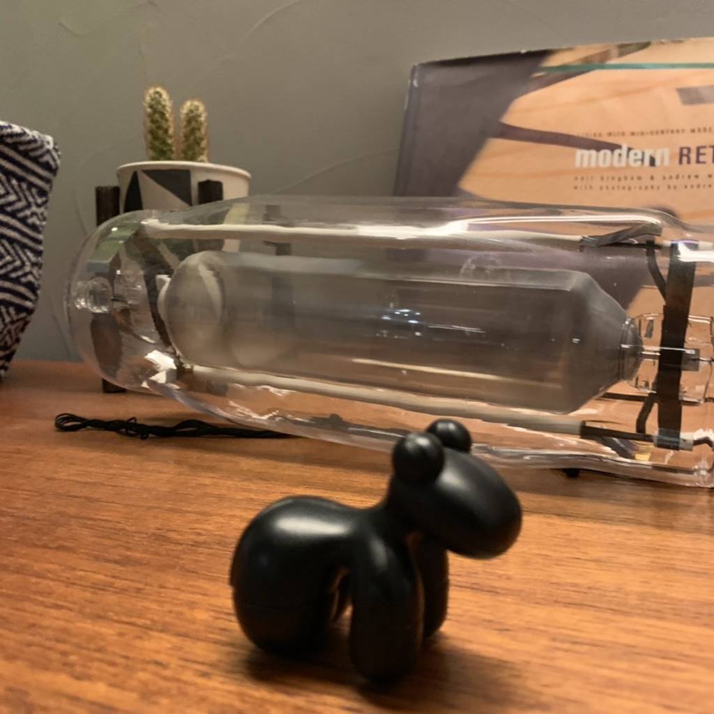 f:id:mashley_slt:20181226192653j:plain