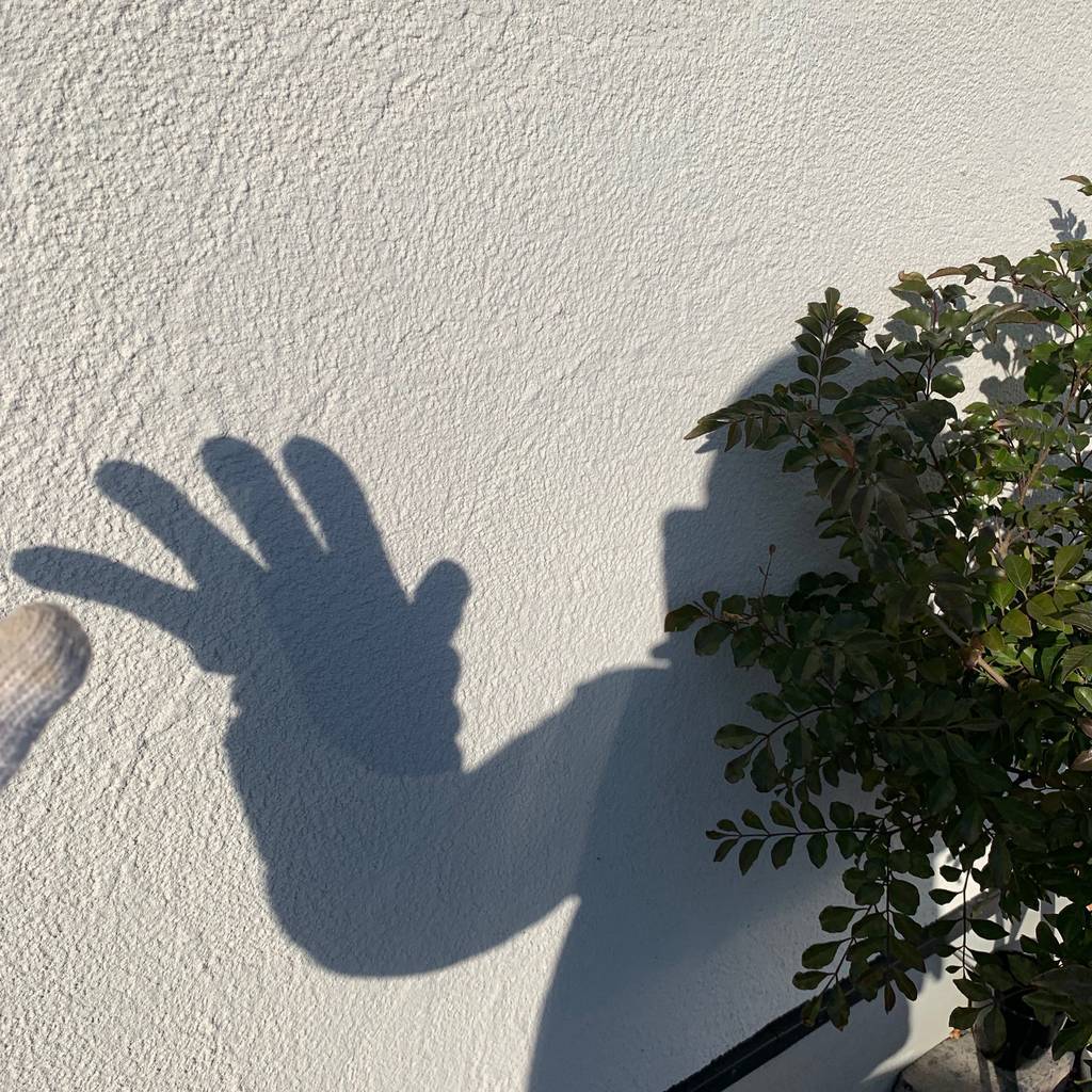 f:id:mashley_slt:20190102182159j:plain