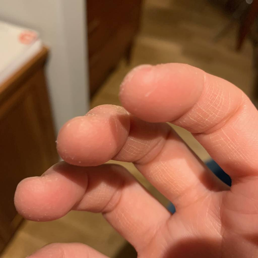 f:id:mashley_slt:20190106161457j:plain