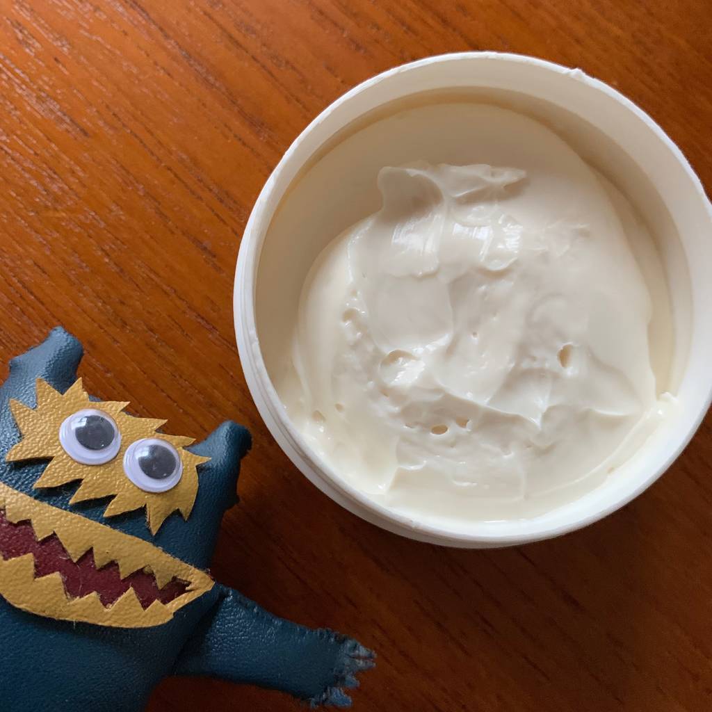 f:id:mashley_slt:20190106162047j:plain