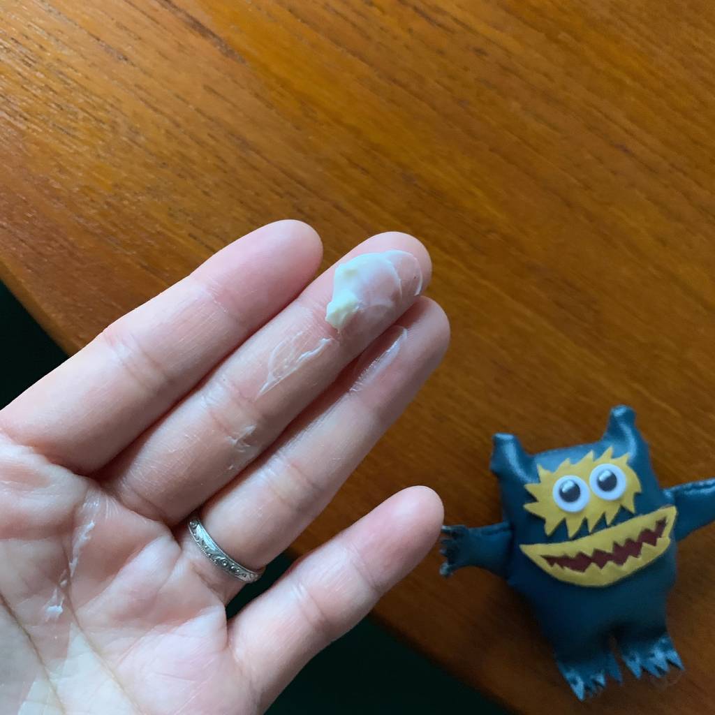 f:id:mashley_slt:20190106162136j:plain