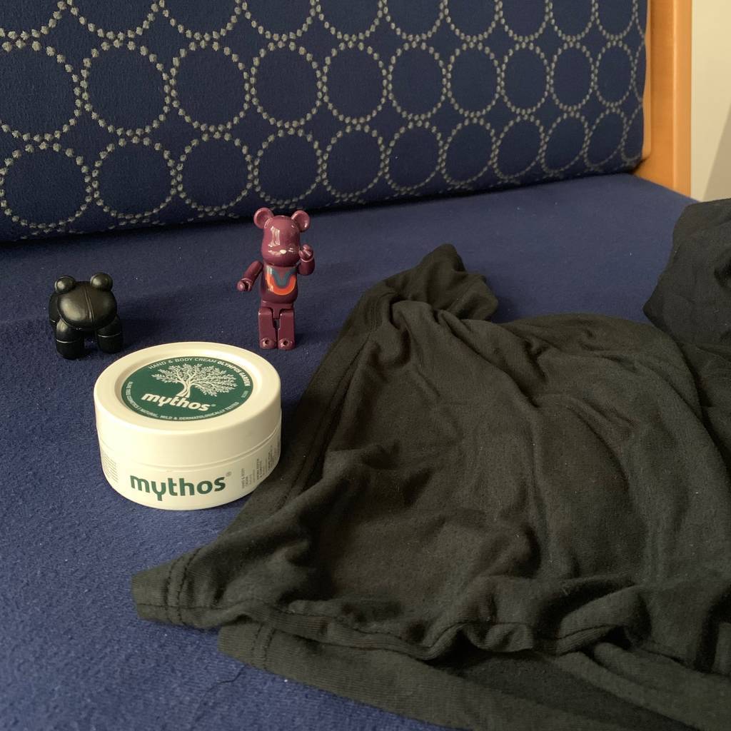 f:id:mashley_slt:20190106162738j:plain