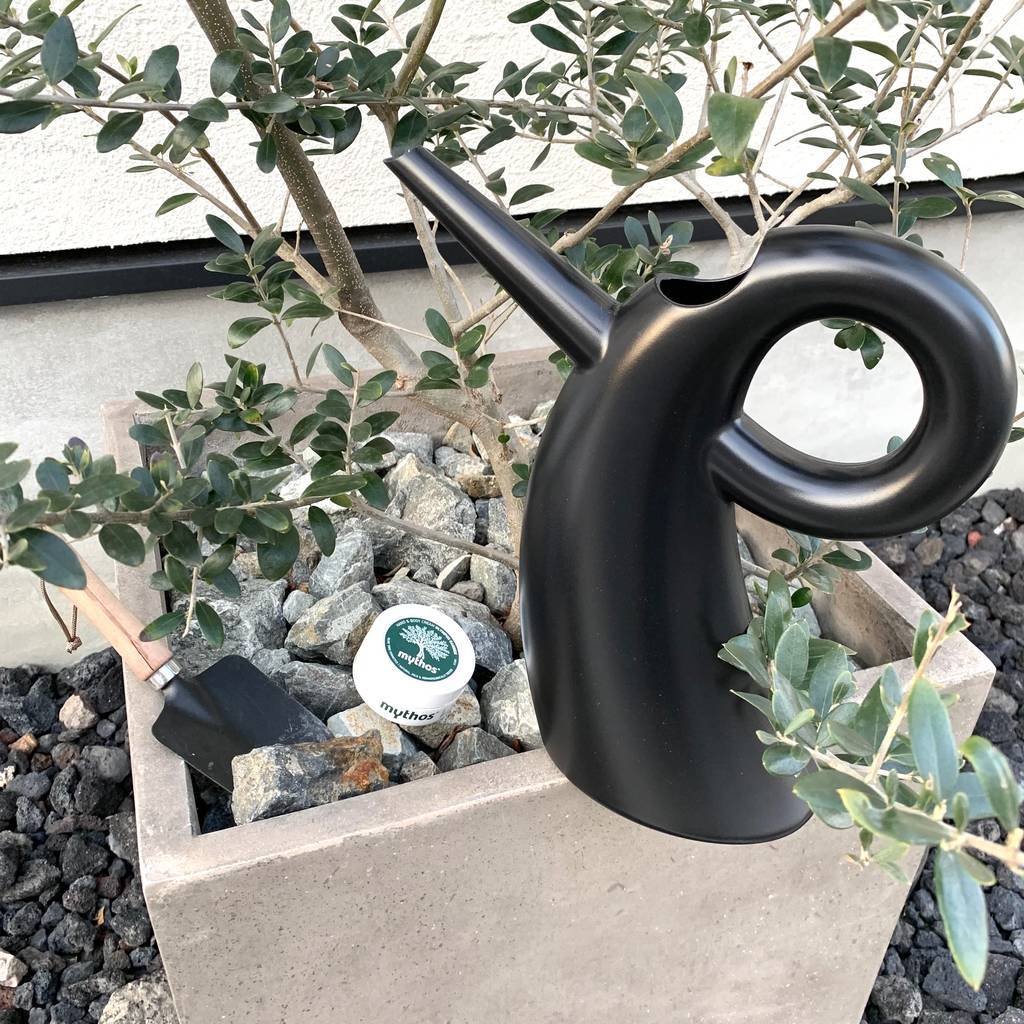 f:id:mashley_slt:20190107164311j:plain