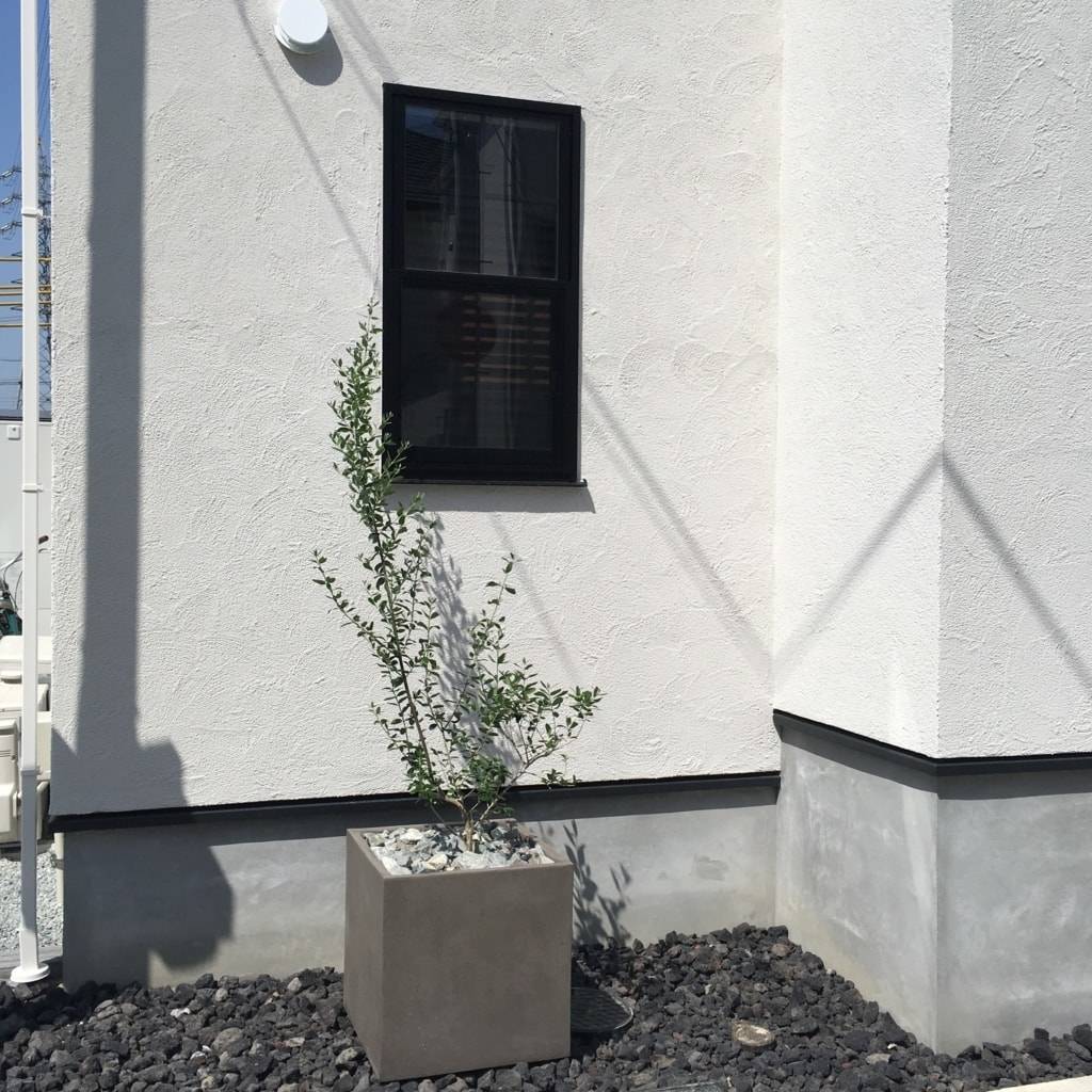 f:id:mashley_slt:20190107165516j:plain