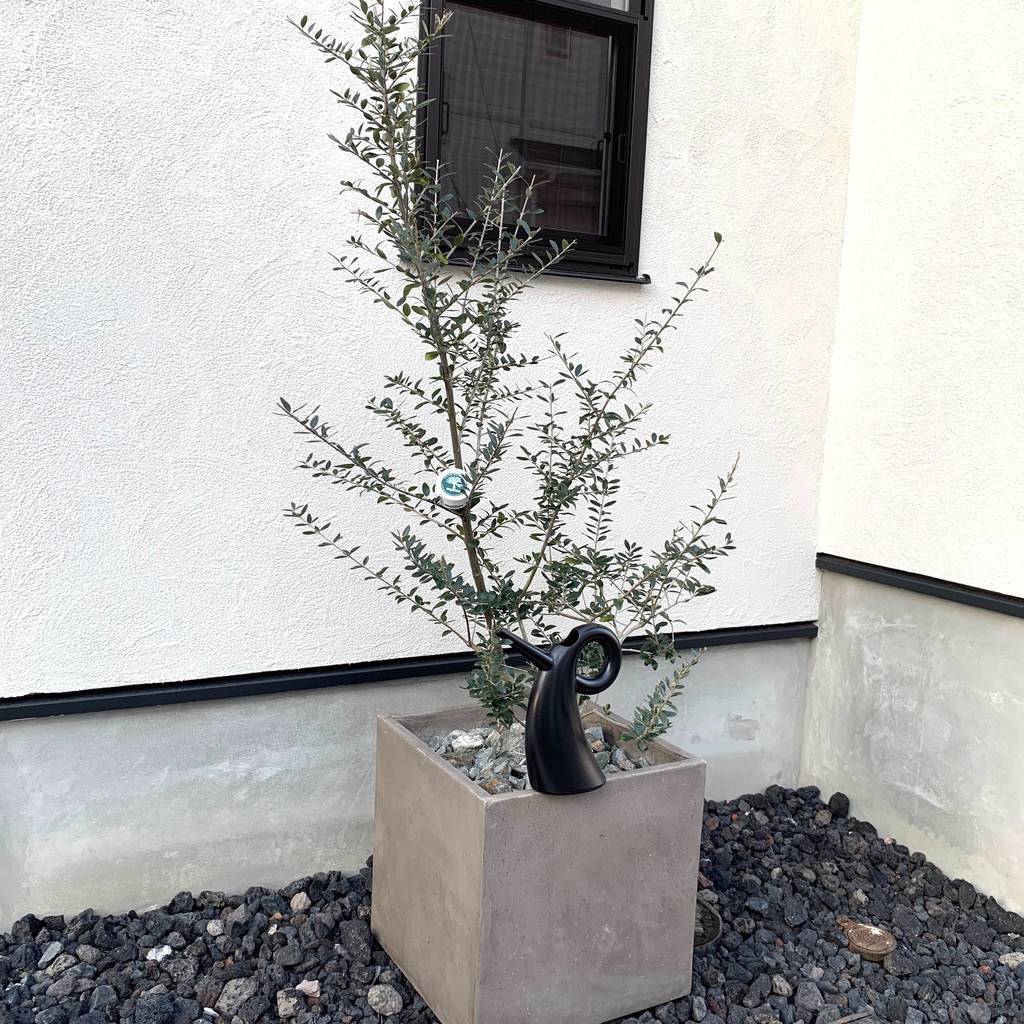 f:id:mashley_slt:20190107165615j:plain