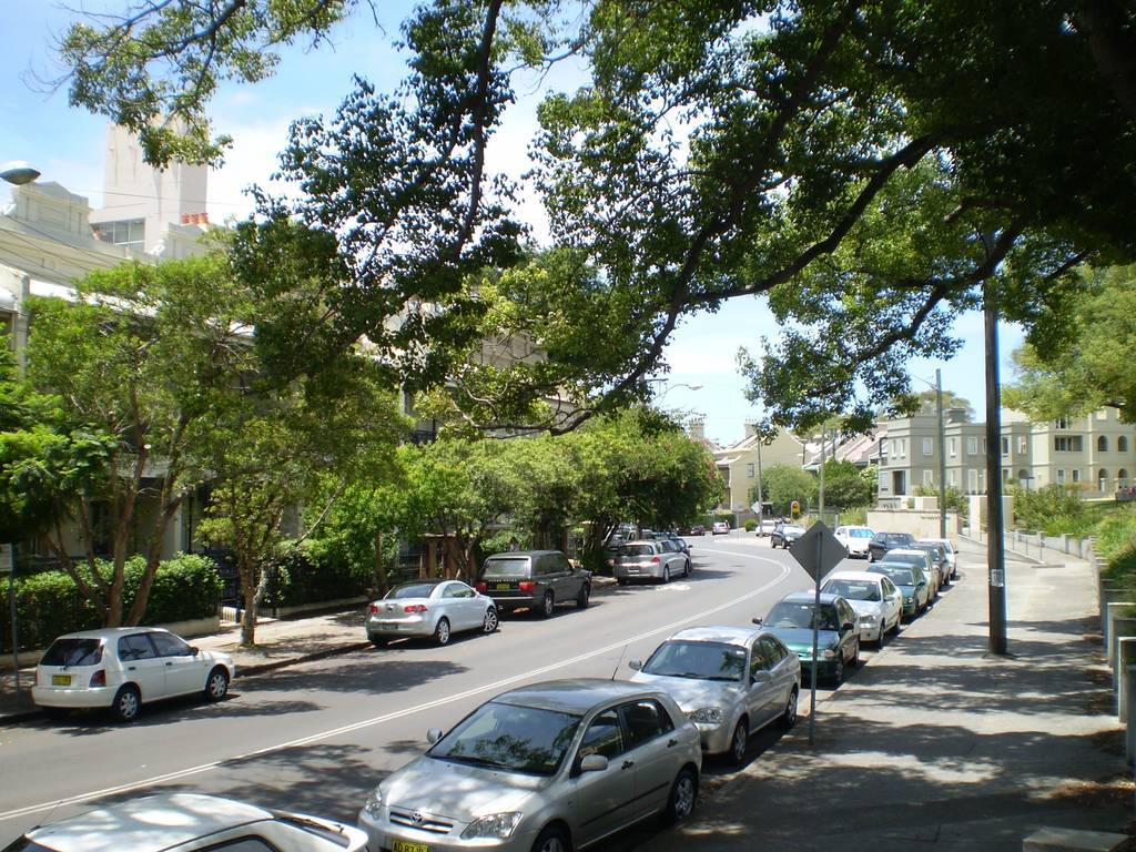 f:id:mashley_slt:20190112172508j:plain