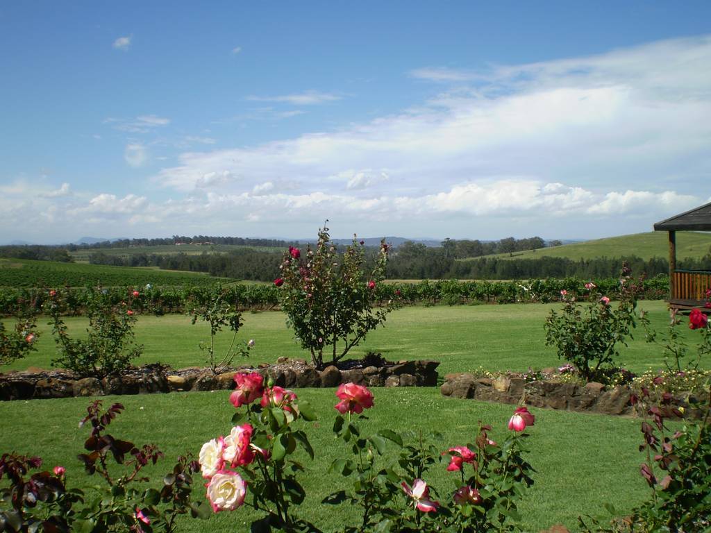 f:id:mashley_slt:20190112172832j:plain