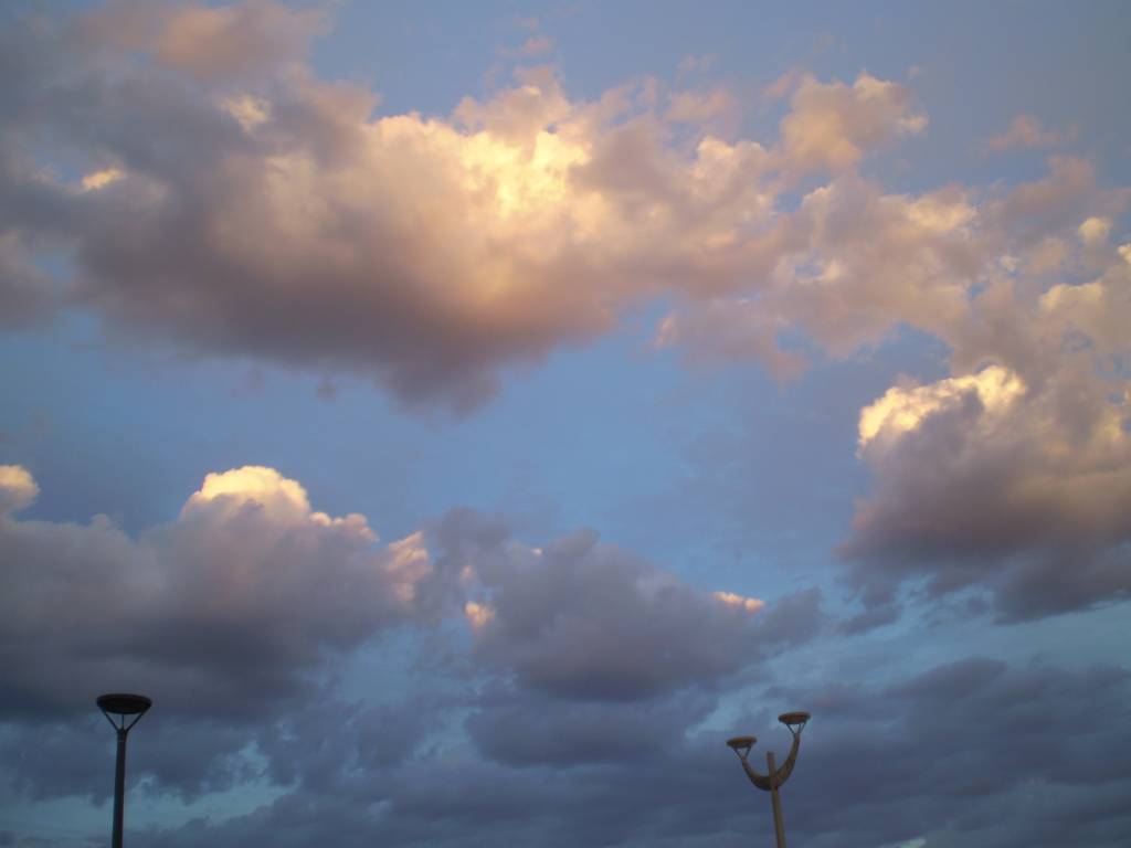 f:id:mashley_slt:20190112173100j:plain