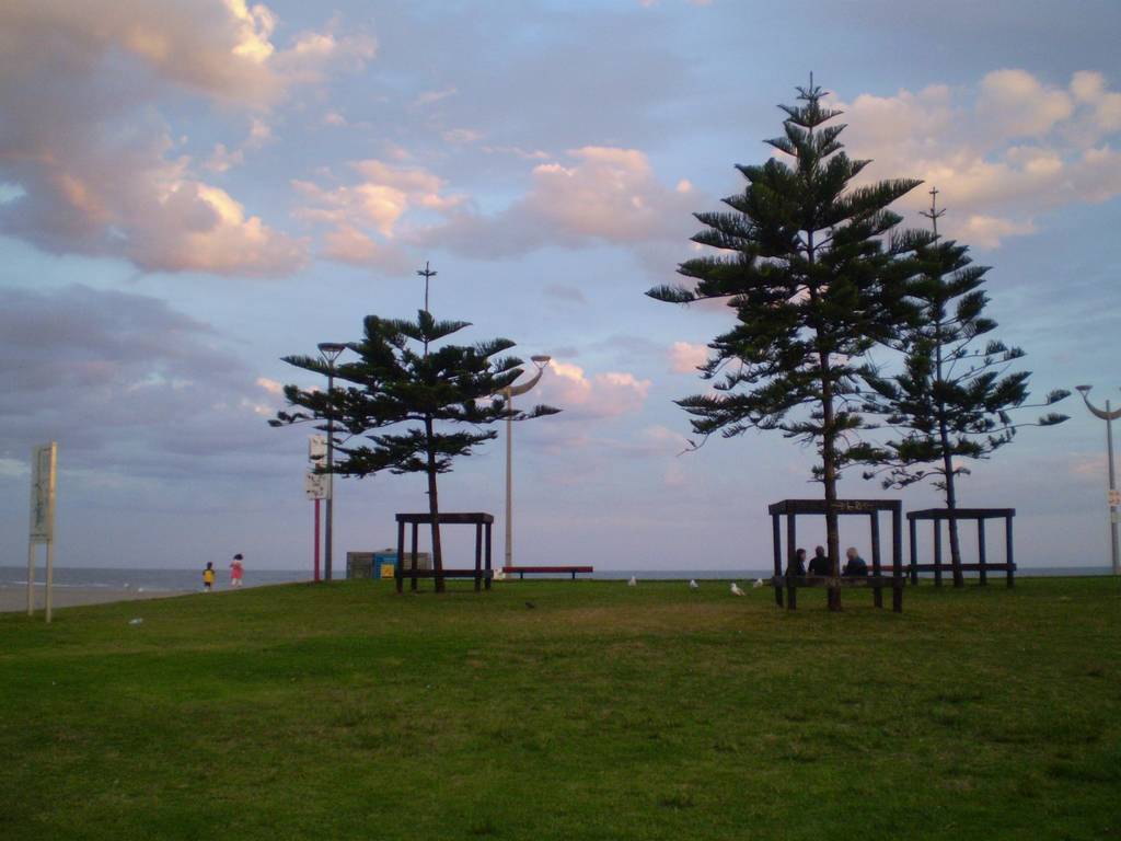 f:id:mashley_slt:20190112173612j:plain