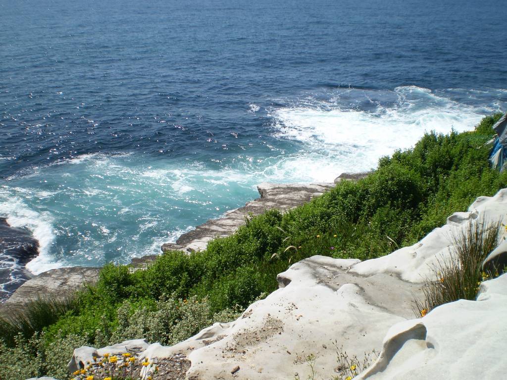 f:id:mashley_slt:20190112211745j:plain