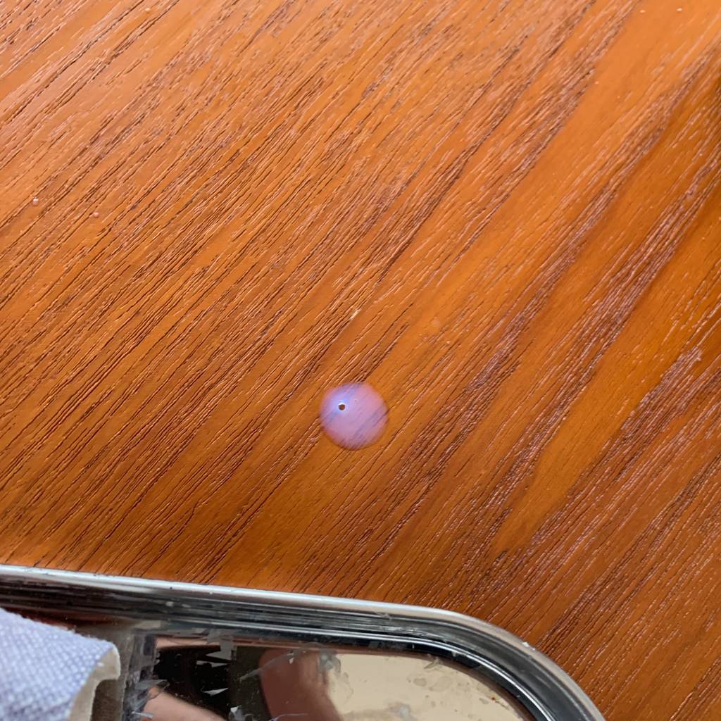 f:id:mashley_slt:20190118214341j:plain