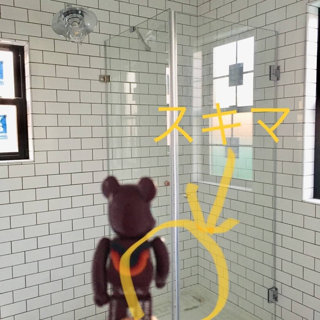 f:id:mashley_slt:20190119174010j:plain