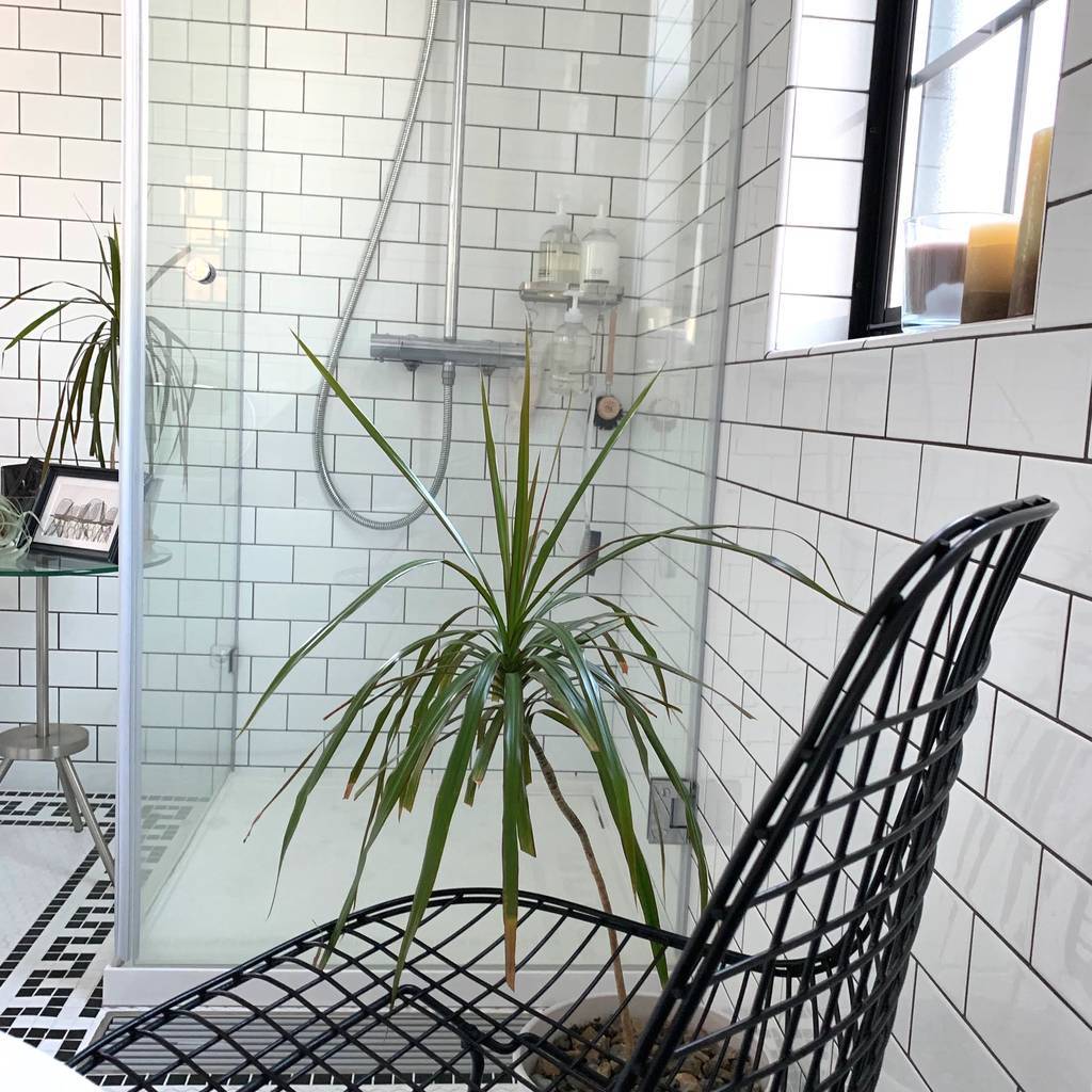 f:id:mashley_slt:20190119183318j:plain