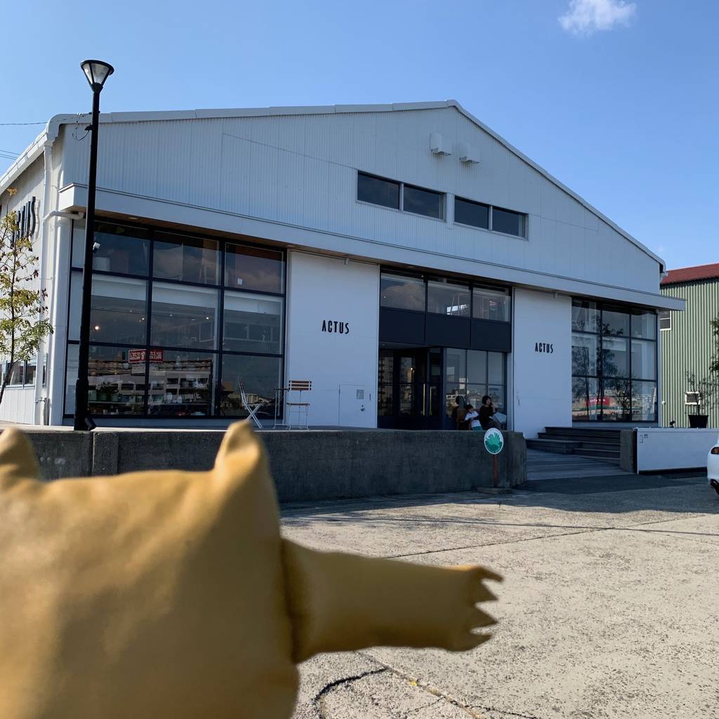 f:id:mashley_slt:20190125224957j:plain