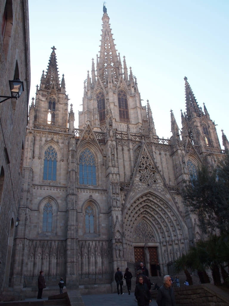 f:id:mashley_slt:20190128201815j:plain f:id:mashley_slt:20190128201815j:plain