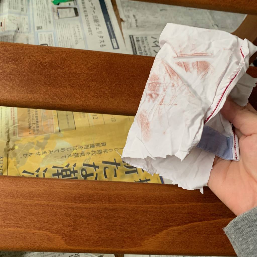 f:id:mashley_slt:20190130024547j:plain