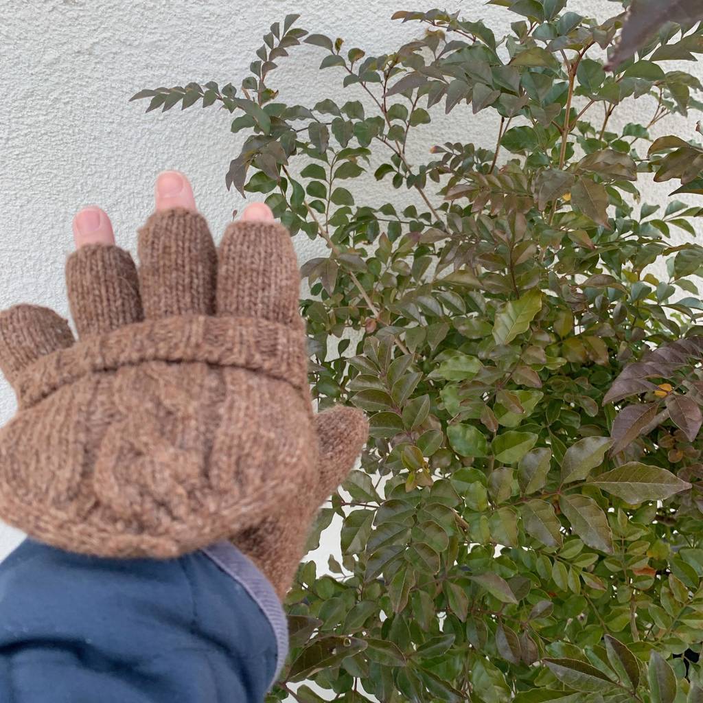 f:id:mashley_slt:20190131161247j:plain f:id:mashley_slt:20190131161247j:plain