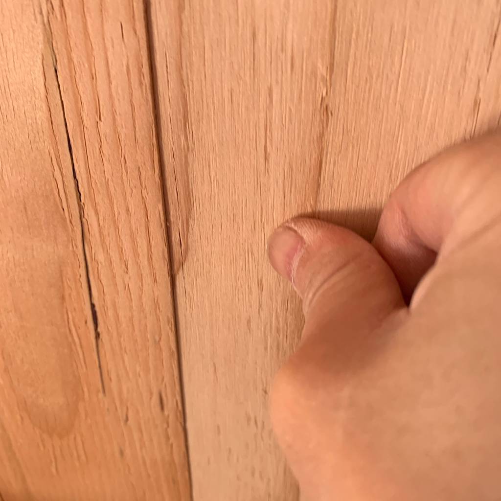 f:id:mashley_slt:20190131164422j:plain f:id:mashley_slt:20190131164422j:plain