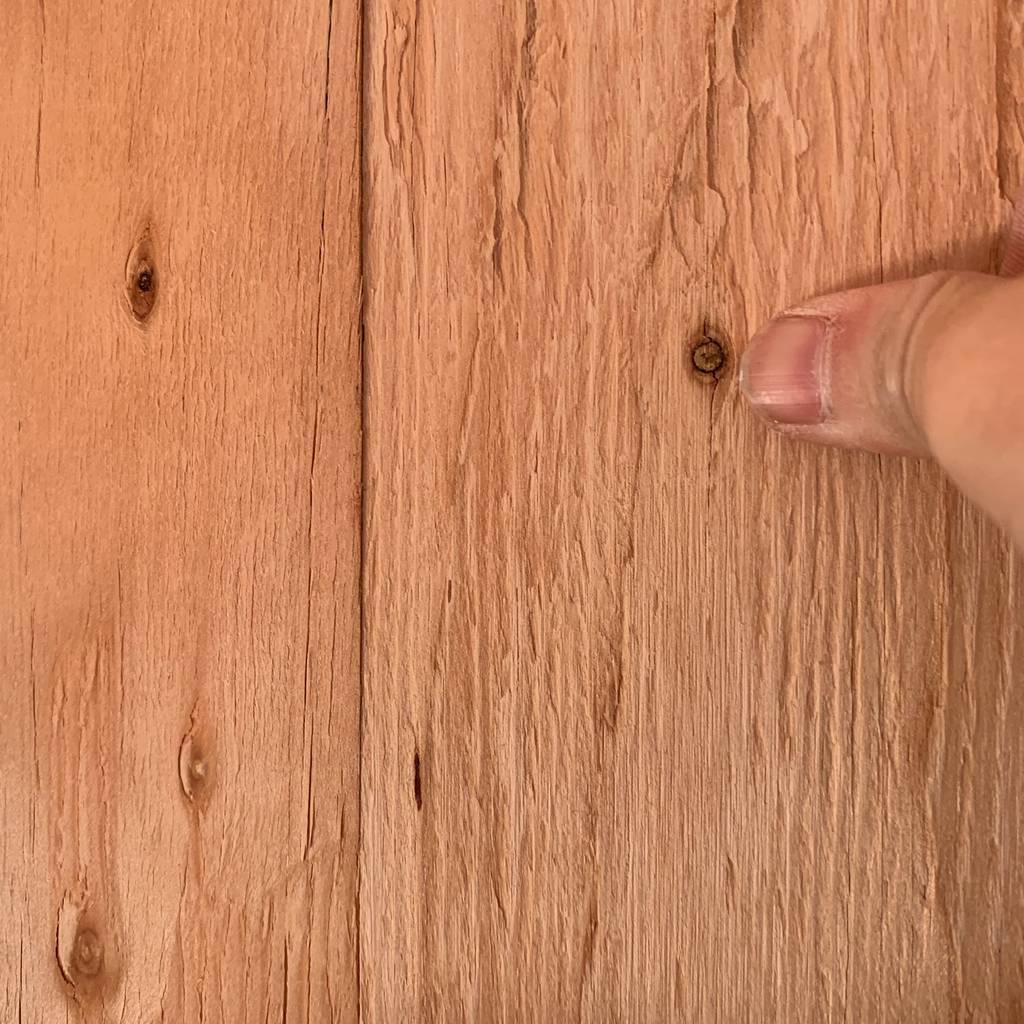 f:id:mashley_slt:20190131164439j:plain f:id:mashley_slt:20190131164439j:plain