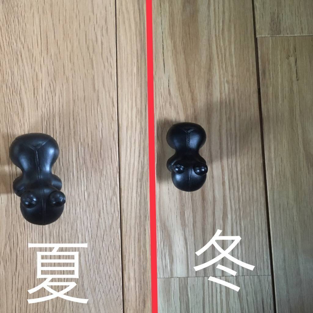 f:id:mashley_slt:20190205173709j:plain f:id:mashley_slt:20190205173709j:plain