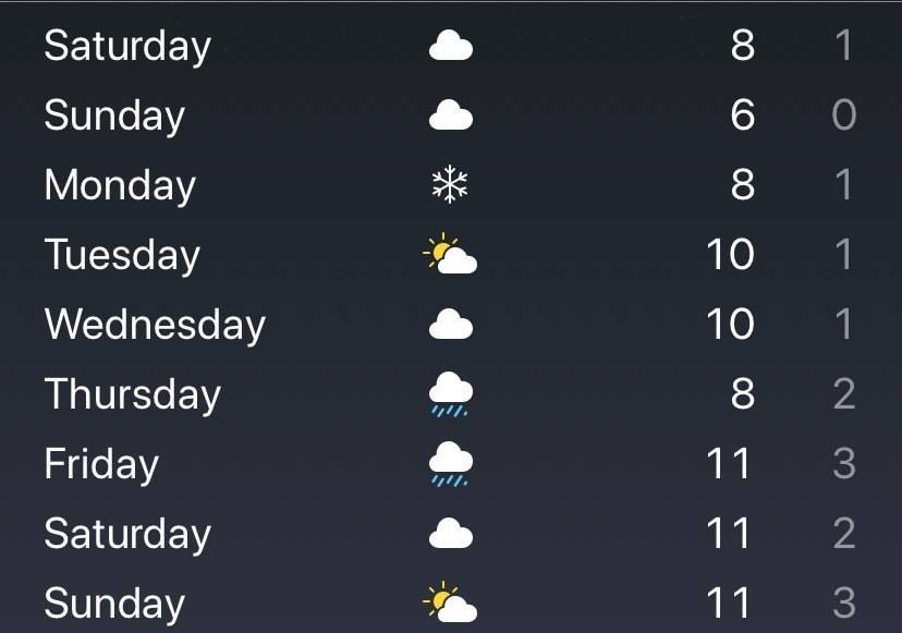 f:id:mashley_slt:20190208140421j:plain f:id:mashley_slt:20190208140421j:plain