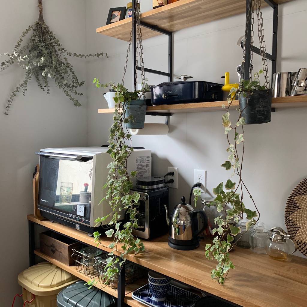 f:id:mashley_slt:20190208140452j:plain f:id:mashley_slt:20190208140452j:plain