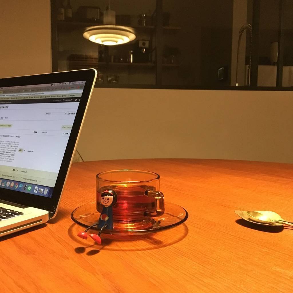 f:id:mashley_slt:20190225161650j:plain