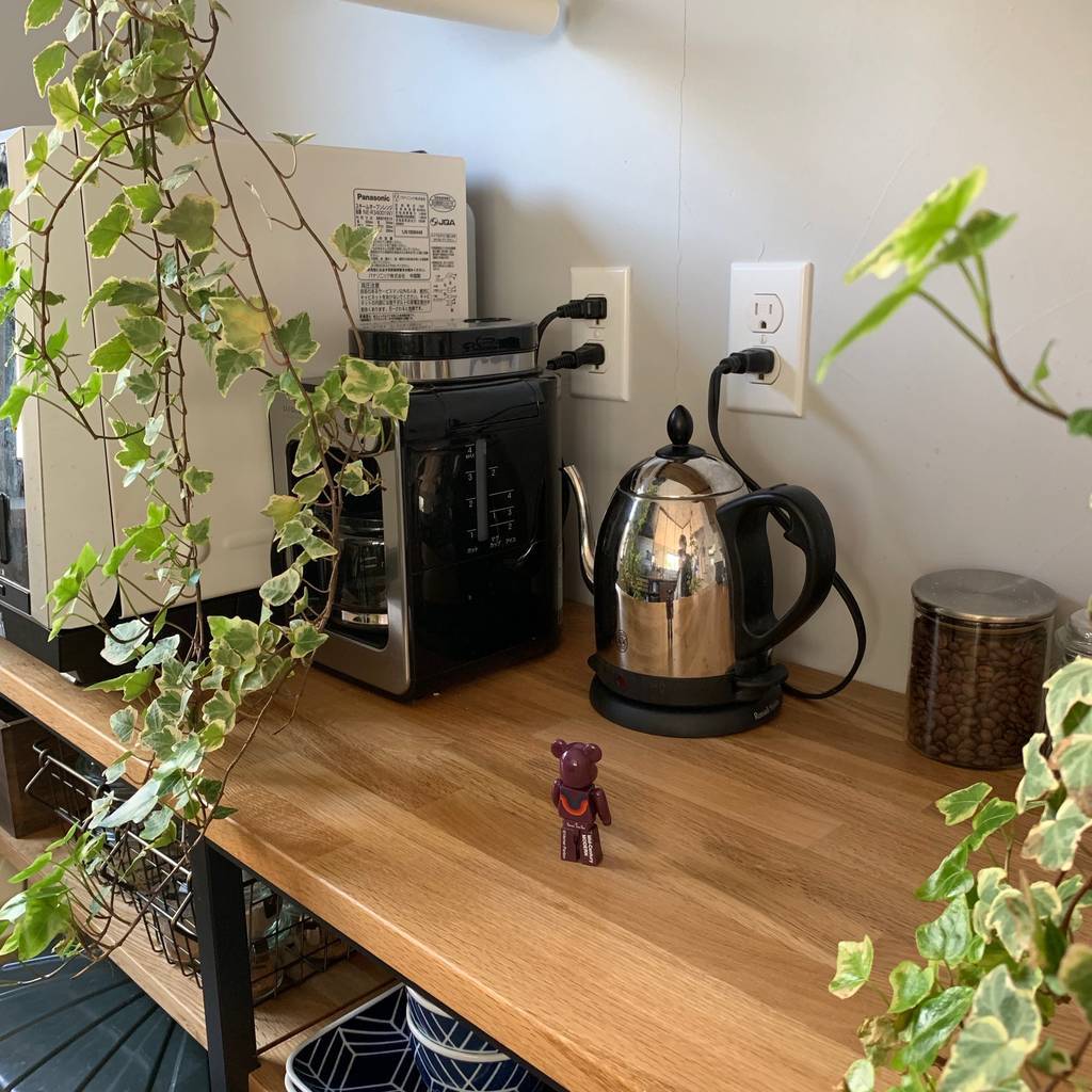 f:id:mashley_slt:20190225171644j:plain