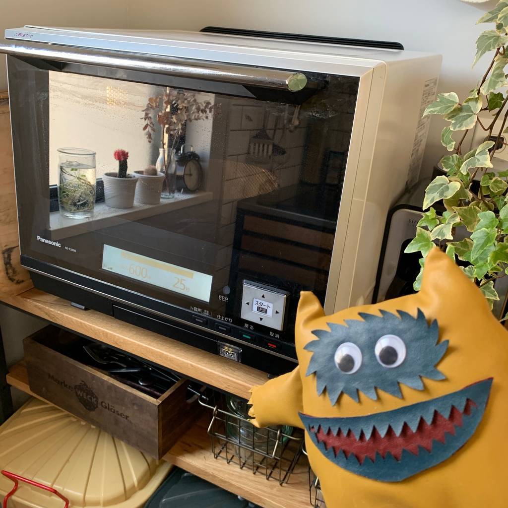 f:id:mashley_slt:20190225181253j:plain