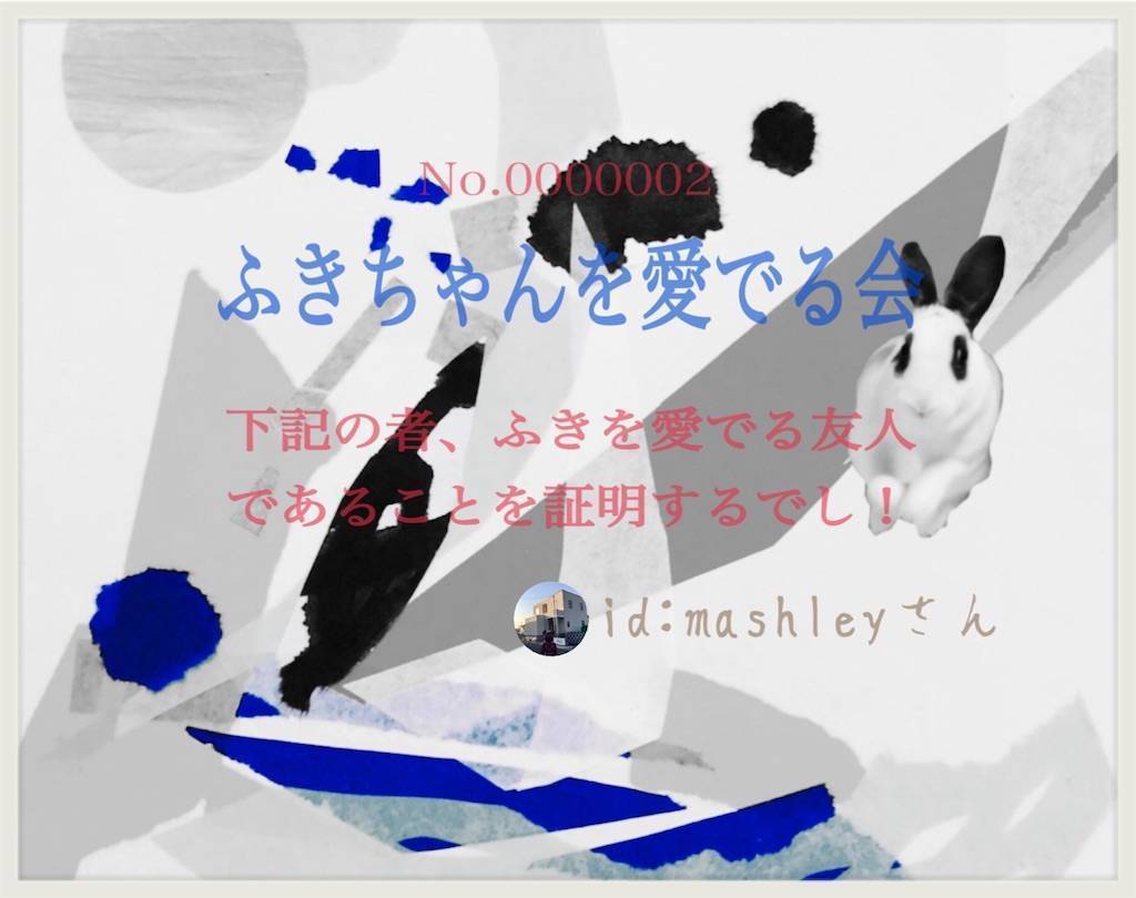f:id:mashley_slt:20190305172946j:plain