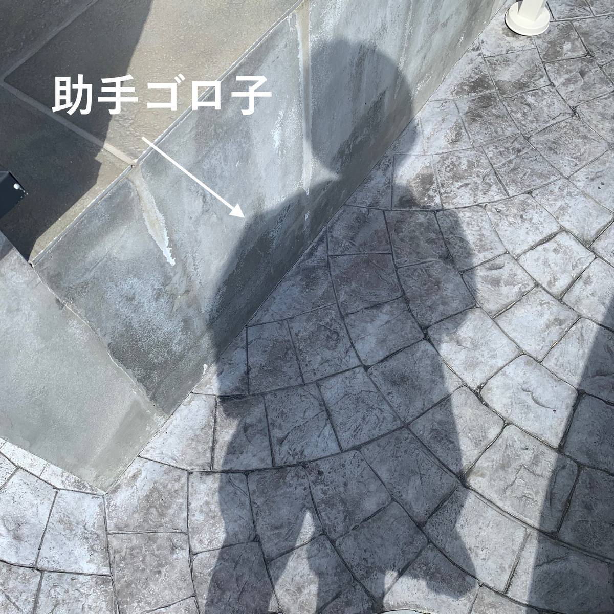 f:id:mashley_slt:20190313190748j:plain