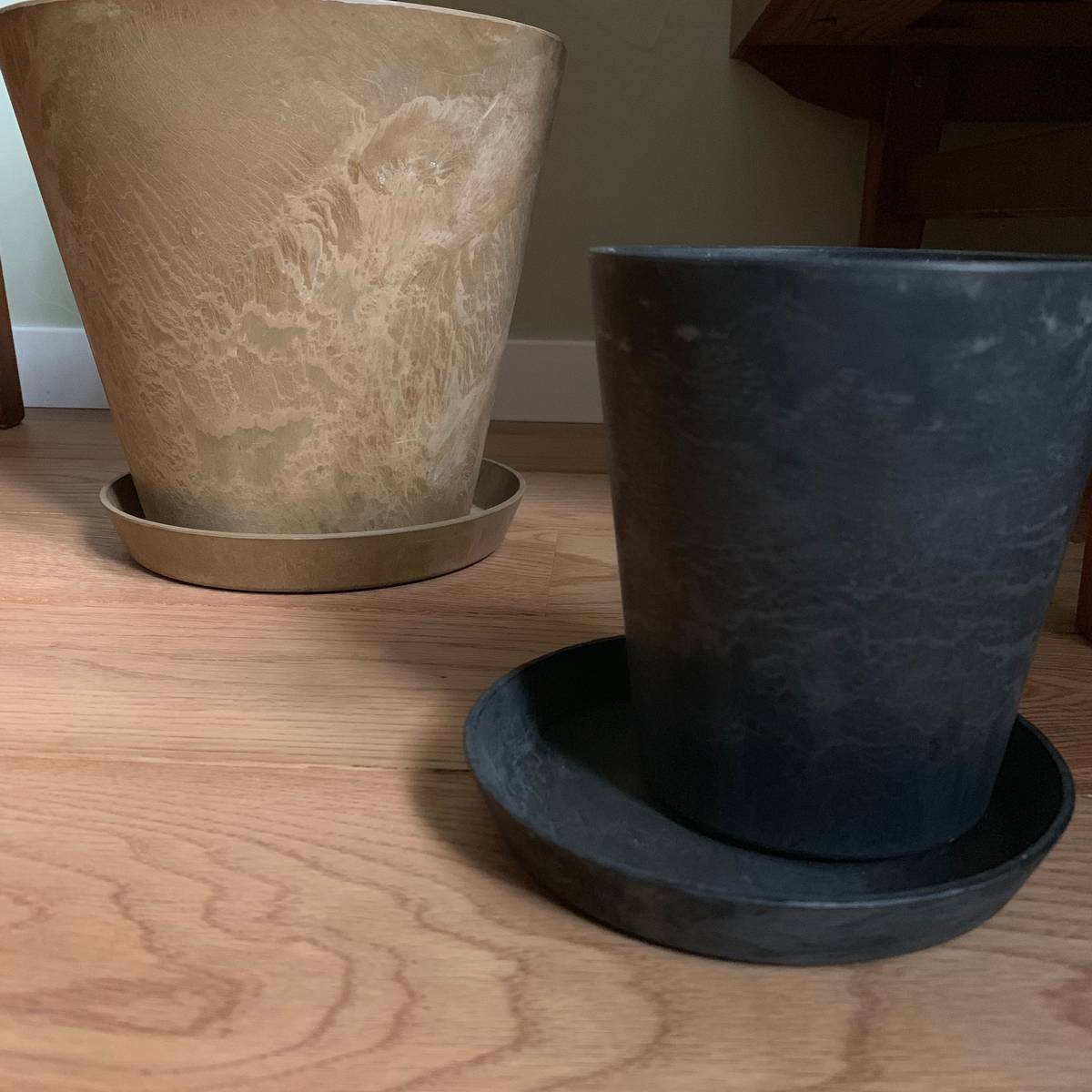 f:id:mashley_slt:20190319222609j:plain