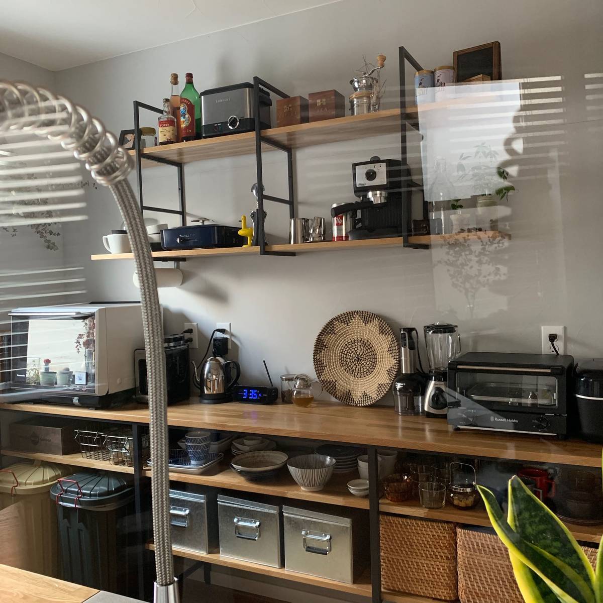 f:id:mashley_slt:20190331183709j:plain f:id:mashley_slt:20190331183709j:plain