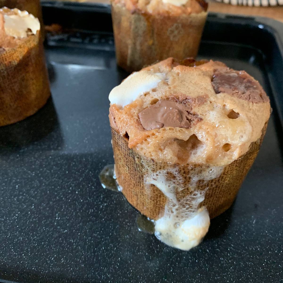 f:id:mashley_slt:20190411025321j:plain f:id:mashley_slt:20190411025321j:plain