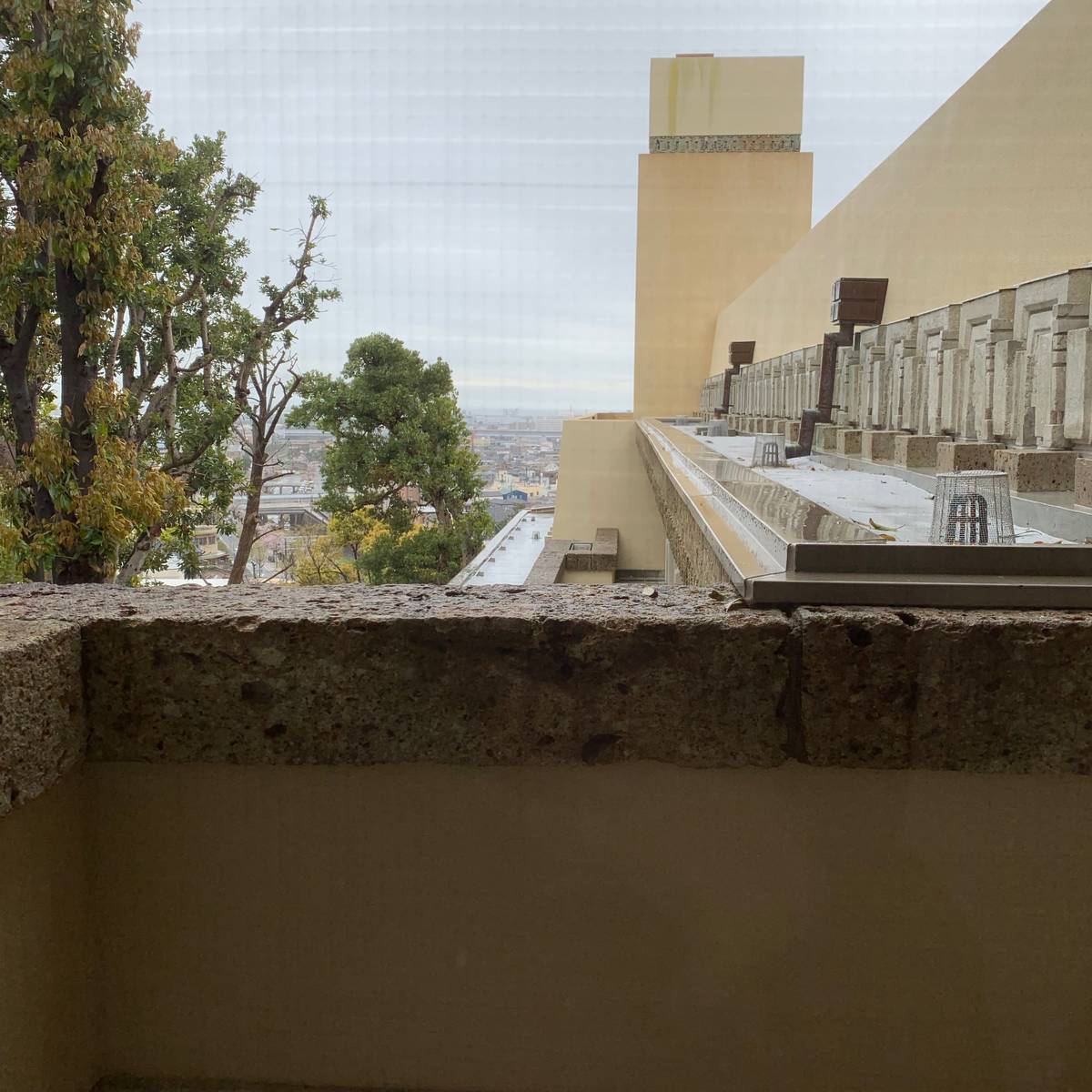 f:id:mashley_slt:20190412222609j:plain f:id:mashley_slt:20190412222609j:plain