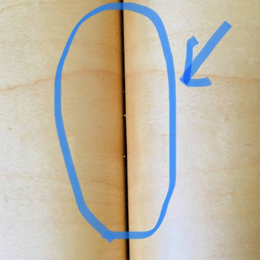 f:id:mashley_slt:20190415235548j:plain