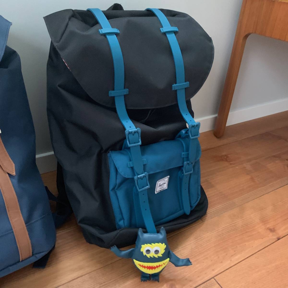 f:id:mashley_slt:20190419232136j:plain f:id:mashley_slt:20190419232136j:plain