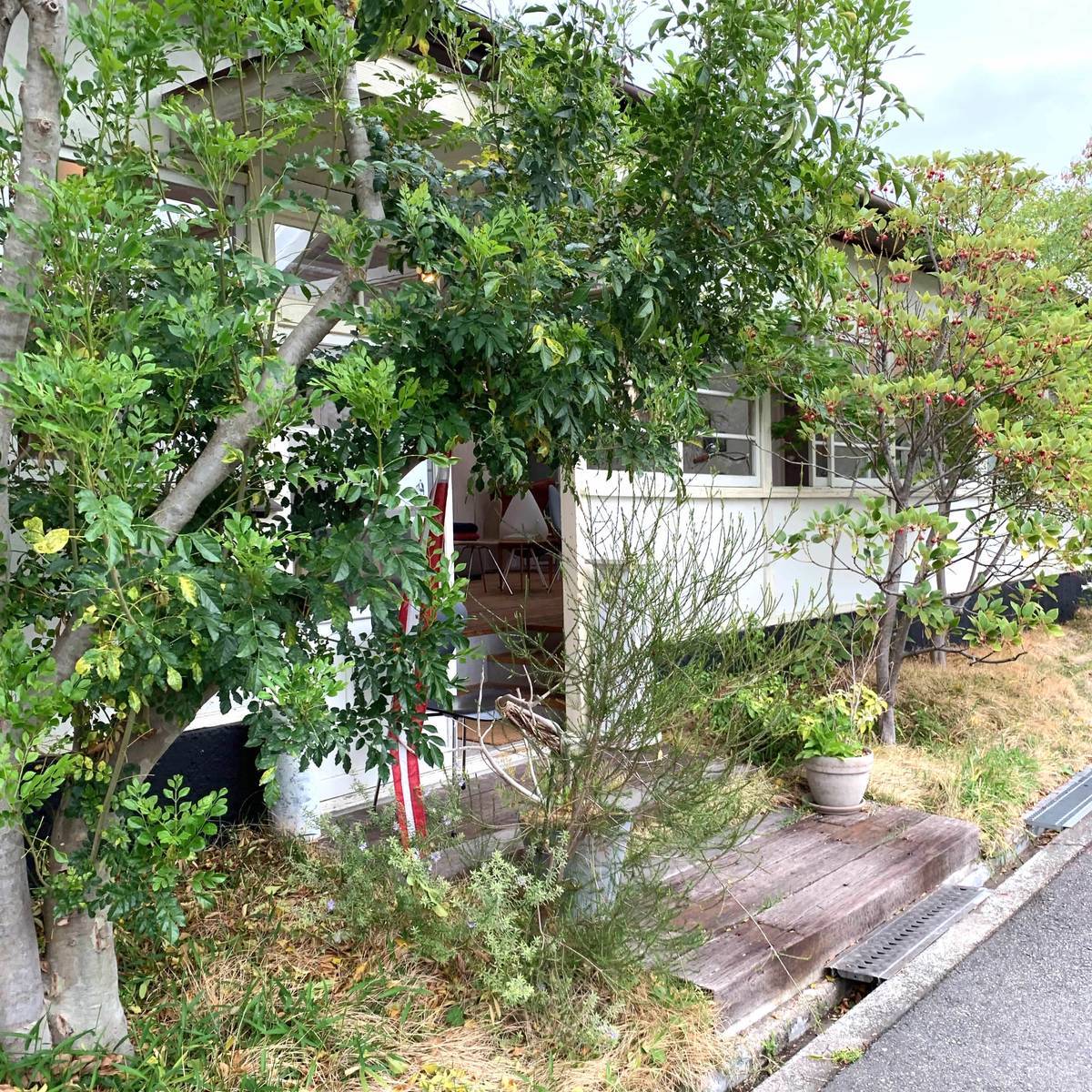 f:id:mashley_slt:20190424213529j:plain f:id:mashley_slt:20190424213529j:plain