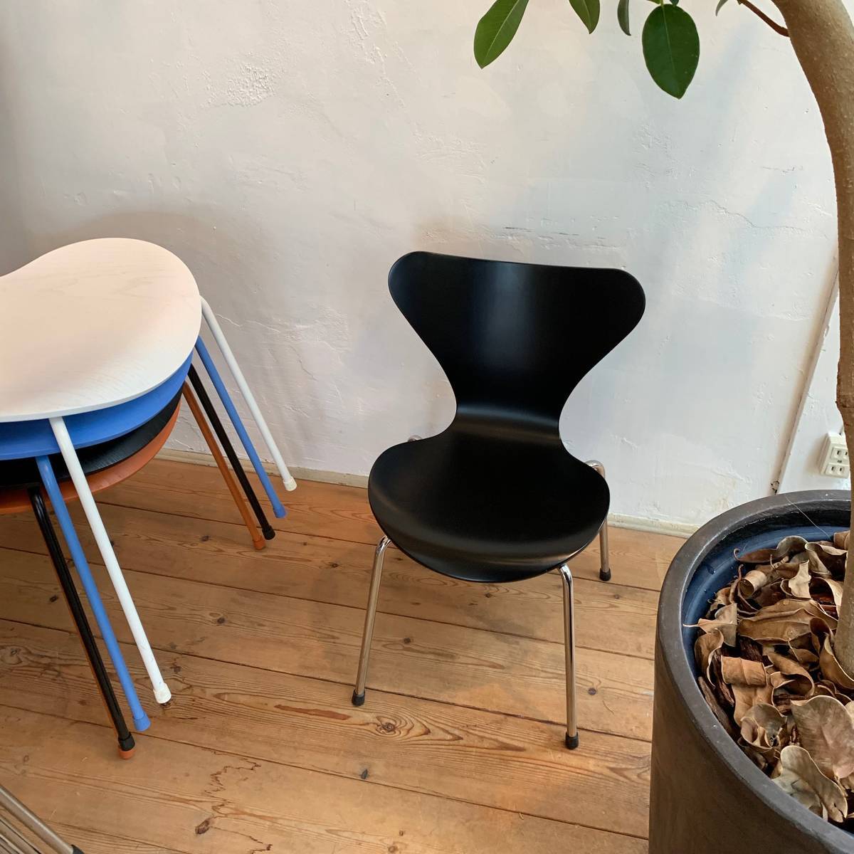 f:id:mashley_slt:20190424214441j:plain f:id:mashley_slt:20190424214441j:plain