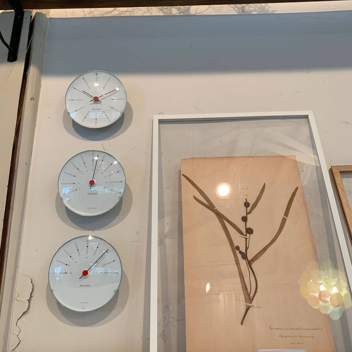 f:id:mashley_slt:20190424221142j:plain f:id:mashley_slt:20190424221142j:plain