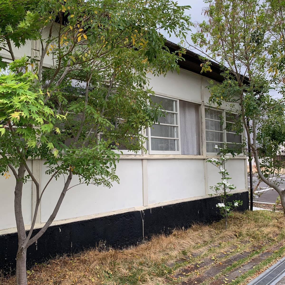 f:id:mashley_slt:20190425003830j:plain f:id:mashley_slt:20190425003830j:plain