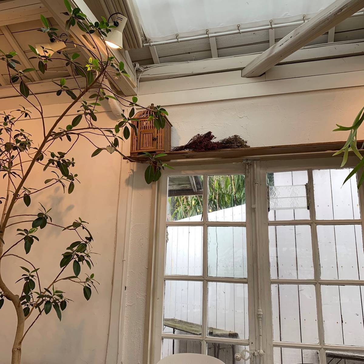 f:id:mashley_slt:20190425004122j:plain f:id:mashley_slt:20190425004122j:plain