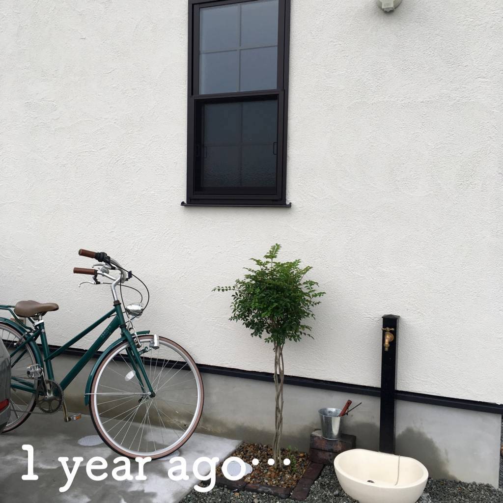 f:id:mashley_slt:20190425234752j:plain